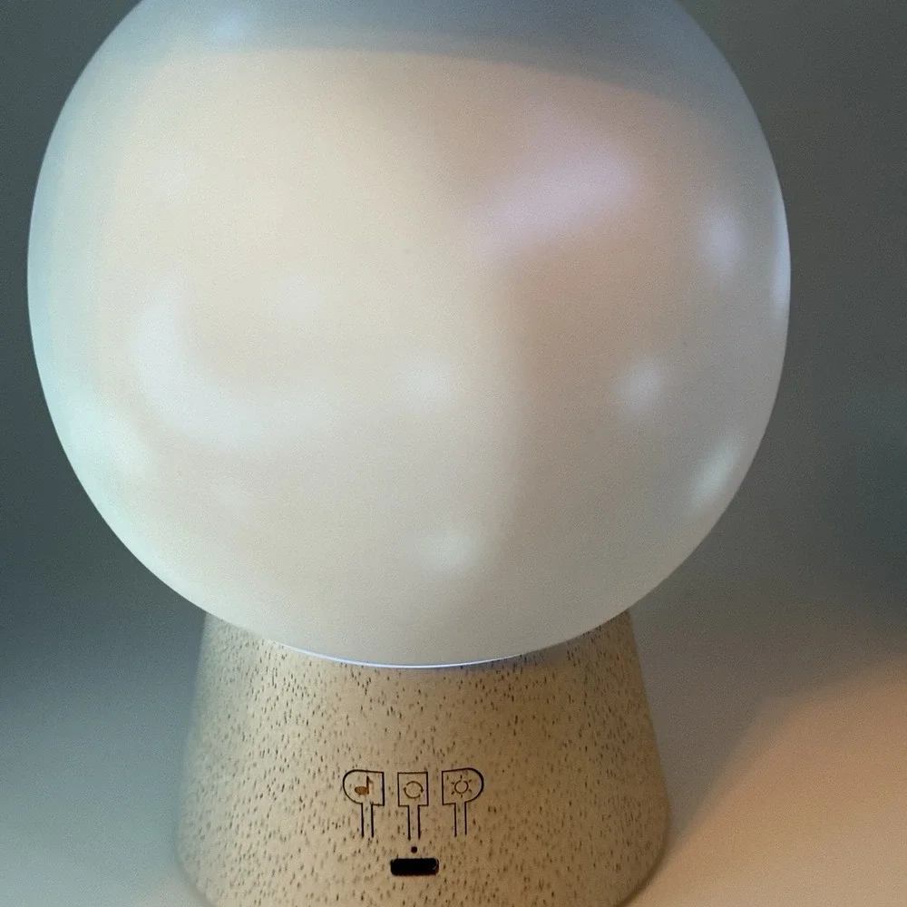 Pottery Barn Kids Starry Night Musical Nightlight Projector 8107793 Tested